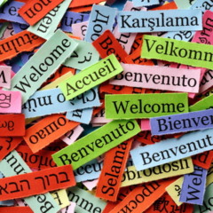 Por que todo mundo não fala o mesmo idioma?