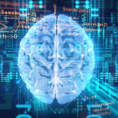 Descoberta científica mostra o relógio interno que monitora o cérebro