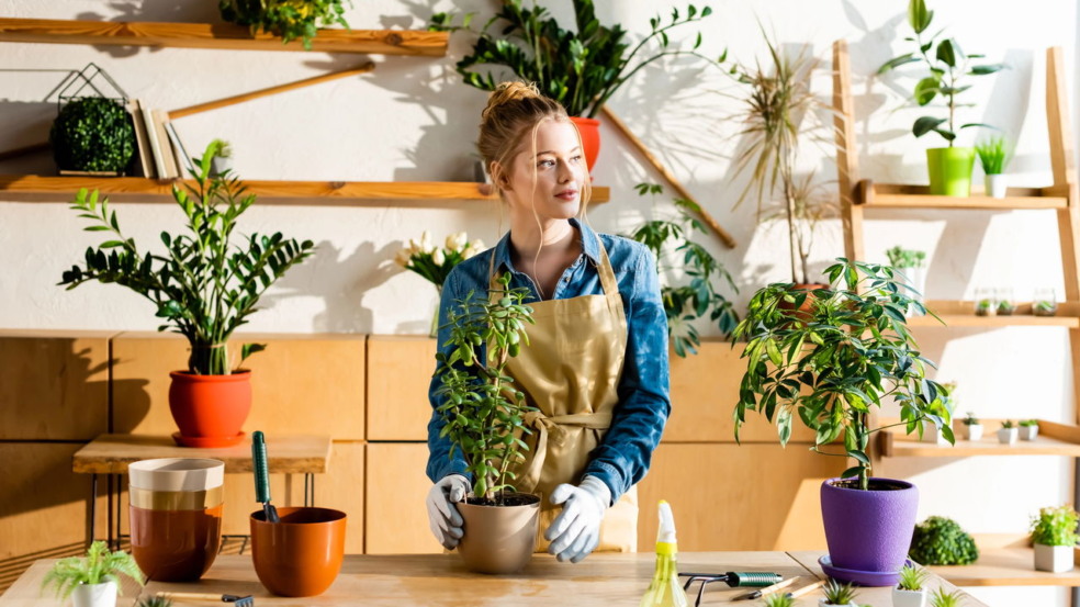 Agricultura indoor transforma cidades com jardinagem urbana de alta tecnologia