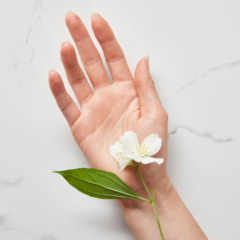 O cultivo do jasmim no jardim transforma ambientes e atrai diferentes energias conforme a personalidade de cada signo do zodíaco