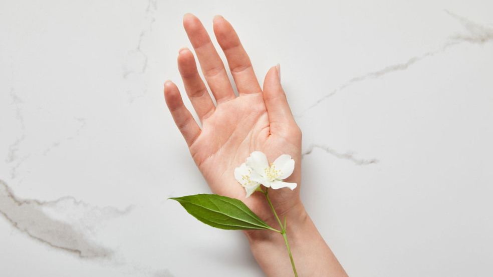 O cultivo do jasmim no jardim transforma ambientes e atrai diferentes energias conforme a personalidade de cada signo do zodíaco