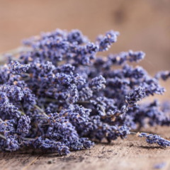 Escorpião e Peixes atraem boas energias ao manter a lavanda em ambientes domésticos, reforçando o bem-estar energético de cada signo