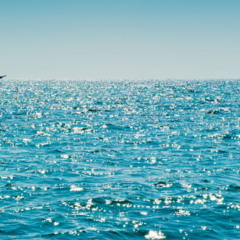 Nem céu, nem areia: o que realmente define a cor do mar