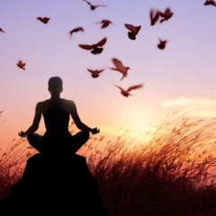 Os benefícios da meditação podem te surpreender
