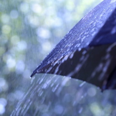 Clima instável marca a rotina dos moradores do Sudeste em 2025, após dias consecutivos de calor intenso
