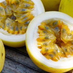 Passo a passo para plantar maracujá usando só a fruta do mercado