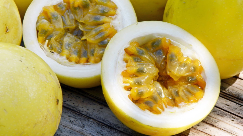 Passo a passo para plantar maracujá usando só a fruta do mercado