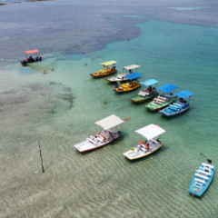 Explorar as piscinas naturais de Maragogi está entre as experiências mais marcantes do litoral brasileiro