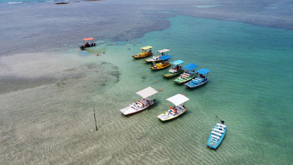 Explorar as piscinas naturais de Maragogi está entre as experiências mais marcantes do litoral brasileiro