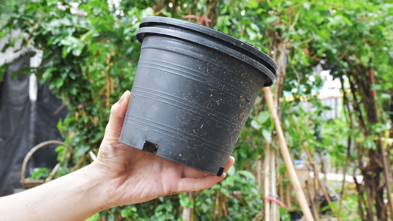 O que fazer com seus vasos plásticos velhos?