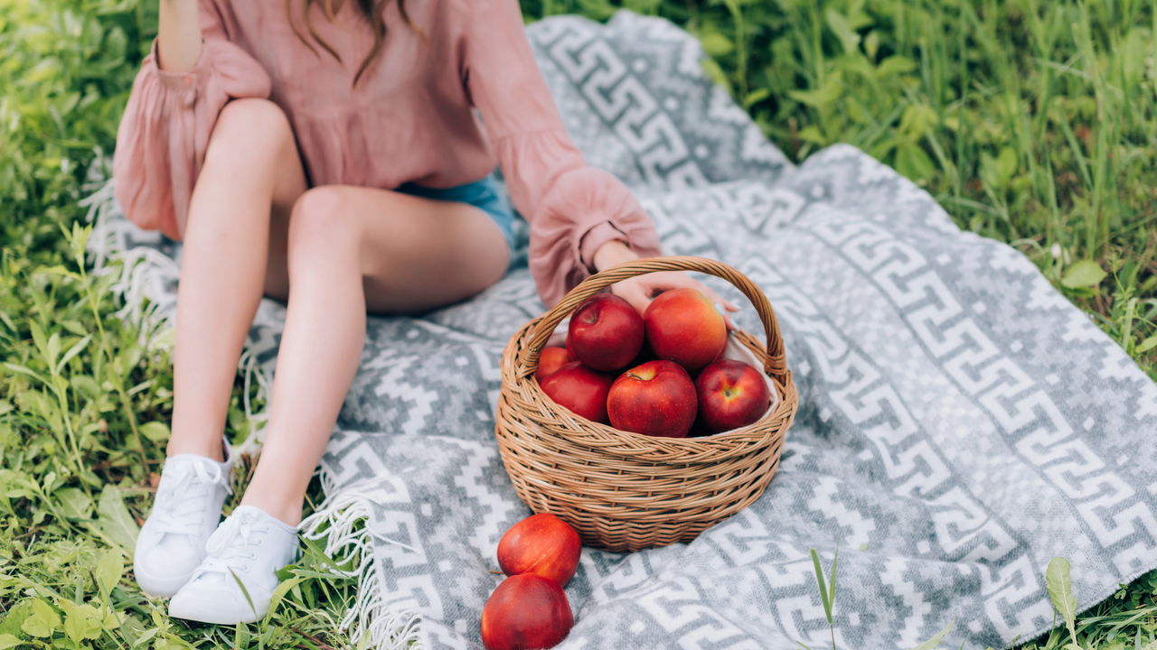 Saiba como ter um pomar com frutas frescas na sua própria casa 
