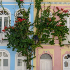 Explorar o Pelourinho em Salvador, no Estado da Bahia, vai muito além de uma visita turística.