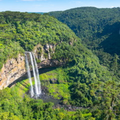 Estrada no Rio de Janeiro encanta viajantes e é considerada uma das mais belas do estado