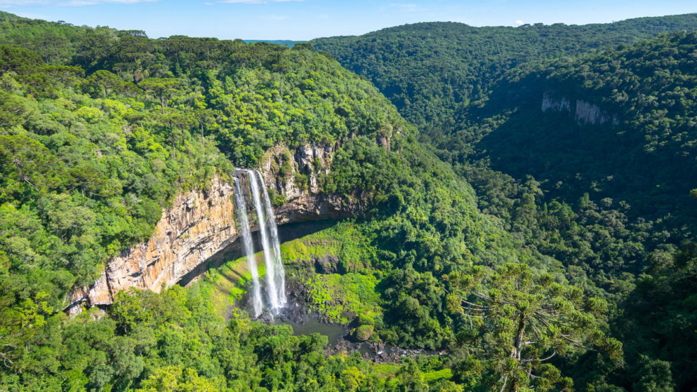 Estrada no Rio de Janeiro encanta viajantes e é considerada uma das mais belas do estado Estrada no Rio de Janeiro encanta viajantes e é considerada uma das mais belas do estado