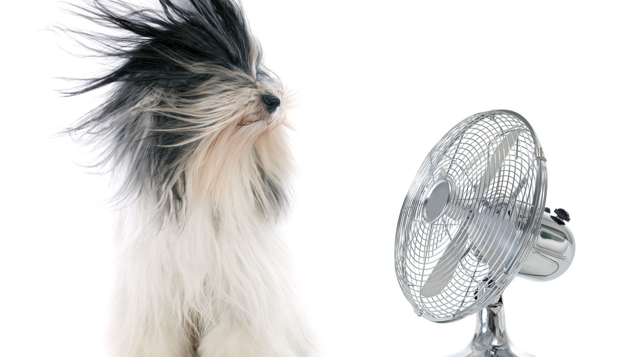 Transforme qualquer ventilador em ar-condicionado com esta ideia Transforme qualquer ventilador em ar-condicionado com esta ideia