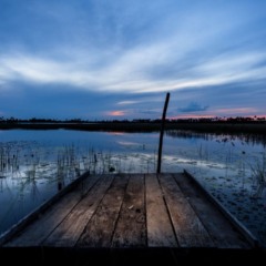 O Lago do Robertinho é considerado um dos destinos natural mais admirados do Estado de Roraima, famoso pela incrível tonalidade azul de suas águas e pela atmosfera tranquila que conquista turistas de todas as idades