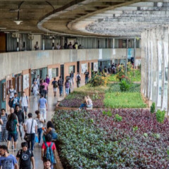novos cargos para professores e técnicos