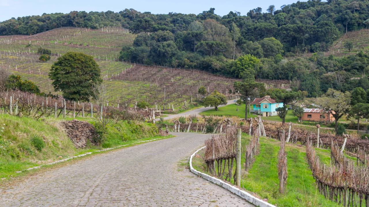 Localizada na Serra Gaúcha, a Rota dos Vinhedos em Bento Gonçalves se destaca como um dos principais destinos enoturísticos do Brasil, reconhecida pela tradição na produção de vinhos e pelo cenário de vales repletos de parreirais. A região mescla o charme das pequenas propriedades familiares com vinícolas de grande porte, tornando-se roteiro indispensável para interessados em cultura, gastronomia e história.