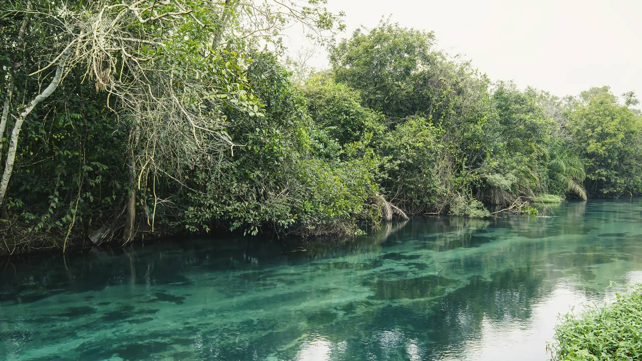 Essas águas escondem um espetáculo que poucos têm coragem de presenciar