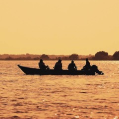 Essas águas escondem um espetáculo que poucos têm coragem de presenciar Essas águas escondem um espetáculo que poucos têm coragem de presenciar