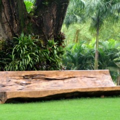 Essa visita encanta quem busca beleza, reflexão e contato com o inesperado Essa visita encanta quem busca beleza, reflexão e contato com o inesperado