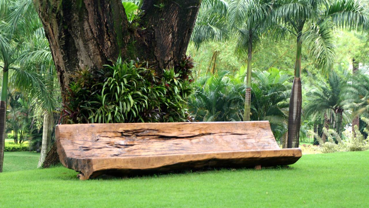 Essa visita encanta quem busca beleza, reflexão e contato com o inesperado