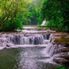 Localizada na região Centro-Oeste do Brasil, a Serra da Bodoquena se destaca pela abundância de cachoeiras e paisagens naturais, tornando-se referência para o ecoturismo e atraindo visitantes nacionais e estrangeiros em busca de trilhas, rios de águas claras e vivências junto à natureza.