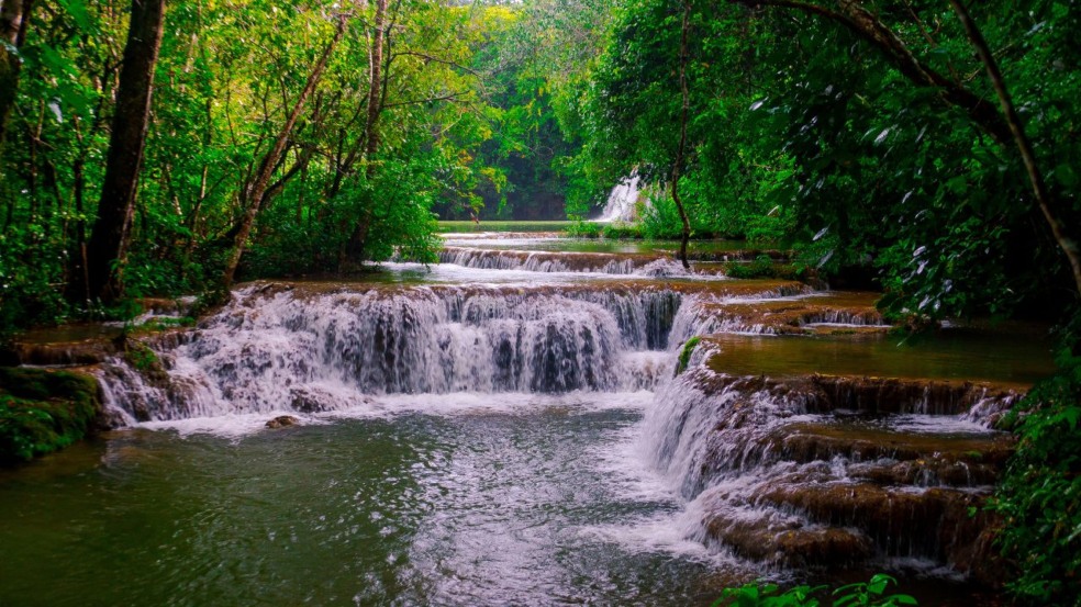 Localizada na região Centro-Oeste do Brasil, a Serra da Bodoquena se destaca pela abundância de cachoeiras e paisagens naturais, tornando-se referência para o ecoturismo e atraindo visitantes nacionais e estrangeiros em busca de trilhas, rios de águas claras e vivências junto à natureza. Localizada na região Centro-Oeste do Brasil, a Serra da Bodoquena se destaca pela abundância de cachoeiras e paisagens naturais, tornando-se referência para o ecoturismo e atraindo visitantes nacionais e estrangeiros em busca de trilhas, rios de águas claras e vivências junto à natureza.