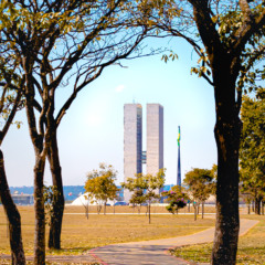 Visitar o Congresso Nacional no Distrito Federal significa embarcar em uma viagem que une história, arquitetura e o simbolismo da política brasileira