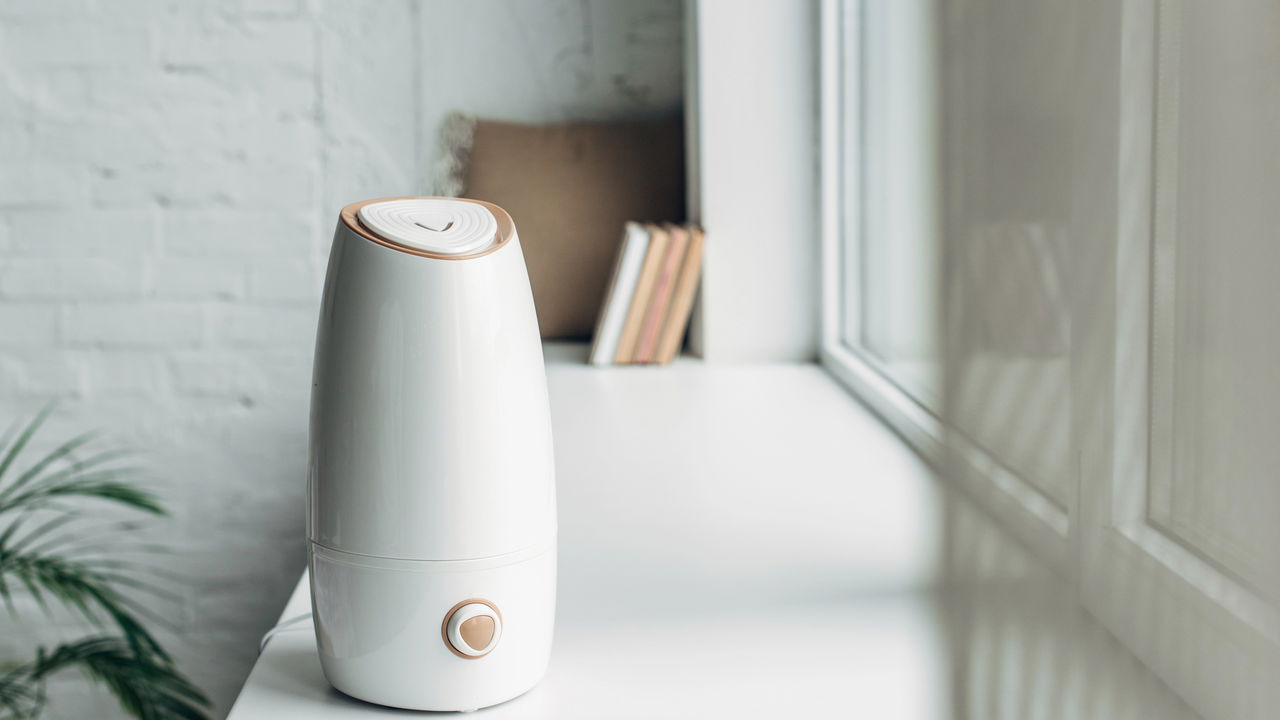 Nem perfume, nem vela aromática: nova tendência já virou febre