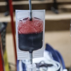 Doaçao de Sangue no auditorio do Hospital Municipal Carlos Tortelly