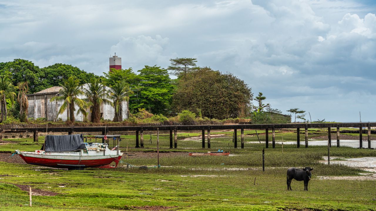 Ilha do Marajó, localizada no Estado do Pará, desponta como uma das regiões mais singulares do Brasil