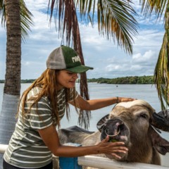 Ilha do Marajó, localizada no Estado do Pará, desponta como uma das regiões mais singulares do Brasil
