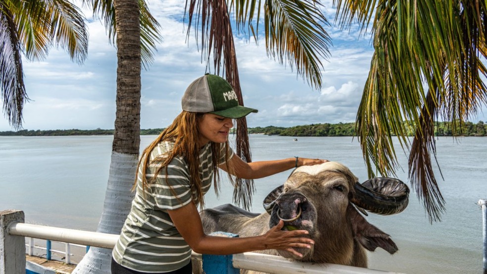Ilha do Marajó, localizada no Estado do Pará, desponta como uma das regiões mais singulares do Brasil