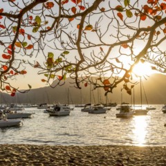 Ilhabela - Créditos: depositphotos.com / TaniaBertoni