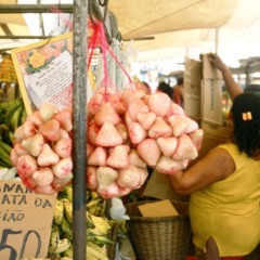 O que esse mercado com 390 anos guarda surpreende até quem vive na cidade