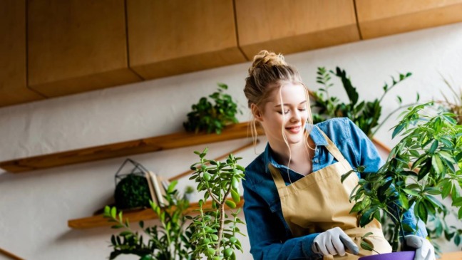 O poder terapêutico do contato com a natureza na rotina O poder terapêutico do contato com a natureza na rotina
