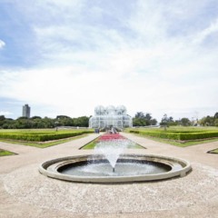 Jardim Botânico de Curitiba é referência entre os parques urbanos do Estado do Paraná, conquistando milhares de visitantes todos os anos