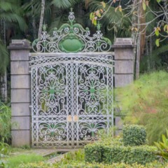 Jardim Botânico de São Paulo convida o visitante a imergir na natureza em pleno cenário urbano, destacando trilhas pouco conhecidas, coleções botânicas impressionantes e recantos históricos bem preservados