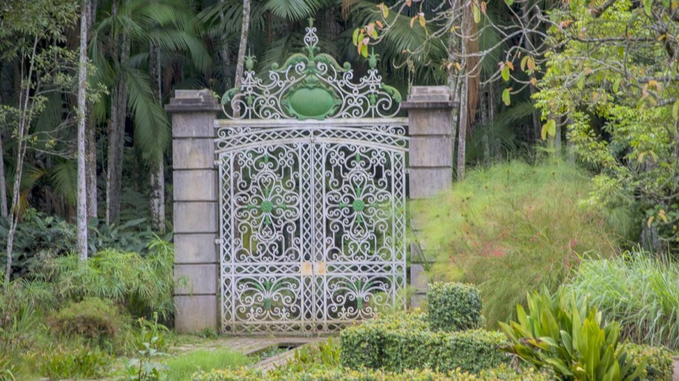 Jardim Botânico de São Paulo convida o visitante a imergir na natureza em pleno cenário urbano, destacando trilhas pouco conhecidas, coleções botânicas impressionantes e recantos históricos bem preservados