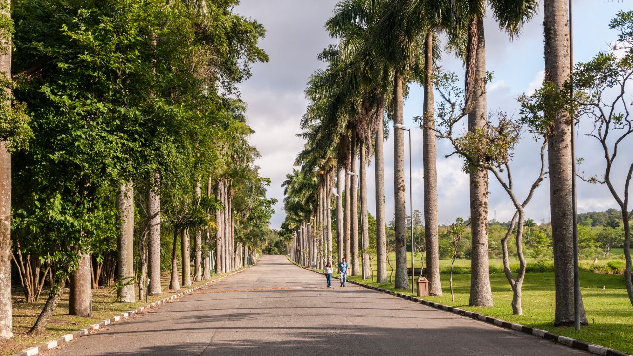 Jardim Botânico de São Paulo convida o visitante a imergir na natureza em pleno cenário urbano, destacando trilhas pouco conhecidas, coleções botânicas impressionantes e recantos históricos bem preservados