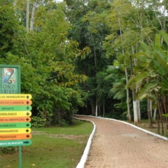 O Parque Ambiental Chico Mendes destaca-se como um espaço que une o patrimônio ambiental à lembranças histórica no Estado do Acre