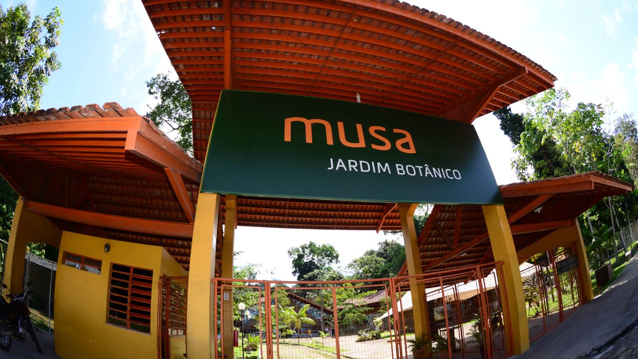 Entrar na floresta do Museu da Amazônia proporciona uma experiência singular com a diversidade natural e os aspectos culturais presentes no bioma amazônico. Logo na chegada, notam-se as copas grandiosas das árvores e a variedade de sons vindos da mata, compondo um cenário que frequentemente só se conhece por livros e documentários. O museu, localizado em Manaus, destaca-se como um ponto de contato autêntico entre visitantes e o coração vivo da floresta tropical.