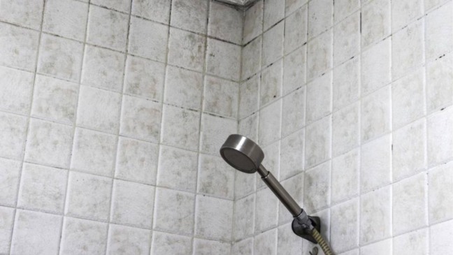Truque infalível para se livrar do mofo preto nos rejuntes Truque infalível para se livrar do mofo preto nos rejuntes