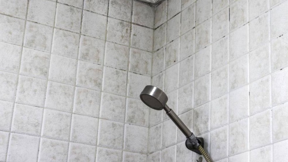 Truque infalível para se livrar do mofo preto nos rejuntes Truque infalível para se livrar do mofo preto nos rejuntes