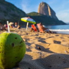 Fazer uma caminhada pelo Morro da Urca é uma experiência que une natureza, história e um visual impactante sobre a Baía de Guanabara