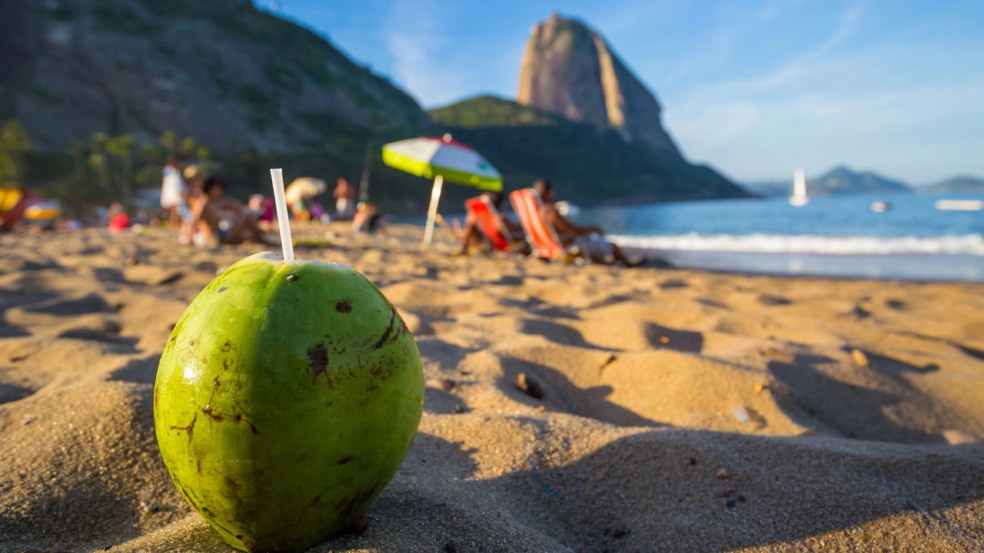 Fazer uma caminhada pelo Morro da Urca é uma experiência que une natureza, história e um visual impactante sobre a Baía de Guanabara