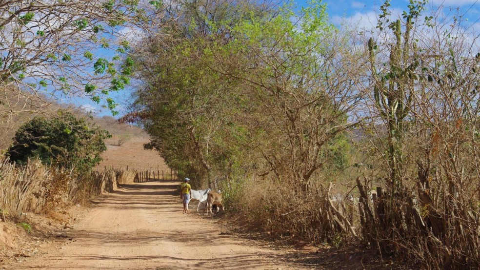 Um roteiro por trilhas que revelam paisagens de tirar o fôlego Um roteiro por trilhas que revelam paisagens de tirar o fôlego
