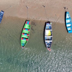 Um passeio à beira do rio guarda uma vista que surpreende no Amapá