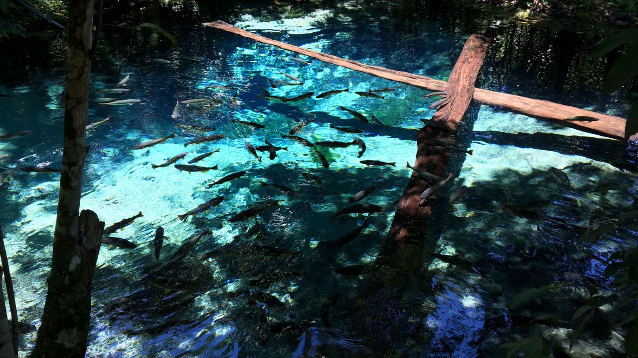 No coração do Mato Grosso, a Lagoa Azul em Nobres atrai turistas que buscam contato com uma natureza exuberante e águas incrivelmente límpidas